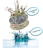 Graphical abstract: Utilization of semiconductor-decorated tungsten trioxide nanowire membranes for the elimination of microorganisms from potable water