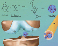 Graphical abstract: Acid-responsive metal organic frameworks with photothermal effects for osteoarthritis multiple therapy