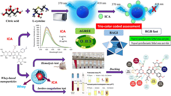 Graphical abstract: Eco-benign spectrofluorimetric analysis of icariin in a nano-formulation using green quantum dots: insights from in vitro anticoagulant and docking studies