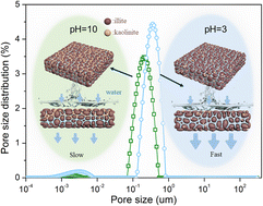 Graphical abstract: Filtration behavior and associated mechanisms of kaolinite and illite with emphasis on pH effect