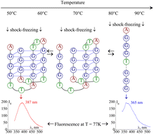 Graphical abstract: Auto-luminescence study of thermal unfolding of DNA G-quadruplexes