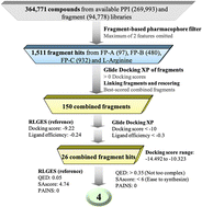 Graphical abstract: In silico design and binding mechanism of UBR1 E3 ligase recruiters