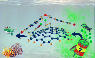 Graphical abstract: Selective adsorption of Pb(ii) on green Sn-BDC-MOF/GO composite: optimization, DFT studies and mechanism