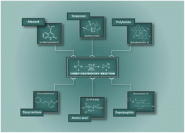 Graphical abstract: A review on the sulfur ylide-mediated Corey–Chaykovsky reaction: a powerful approach to natural product synthesis