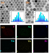 Graphical abstract: Ratiometric near-infrared biosensors based on self-assembled nanoparticles and target-triggered signal amplification for sensitive detection of miRNAs