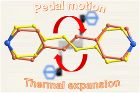 Graphical abstract: Dynamic pedal motion and thermal expansion in an ionic co-crystal with 1,2-bis(4-pyridyl) ethylene
