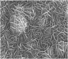 Graphical abstract: Low-temperature phosphidation synthesis of flower-like Ru-CoVO-P polymetallic catalyst for enhanced overall water splitting in alkaline seawater