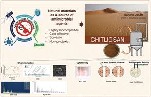 Graphical abstract: Sahara Desert sand “Chitligsan”: characterisation and assessment of antibacterial activity and cytotoxicity