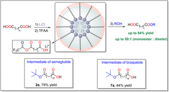 Graphical abstract: LiCl-driven direct synthesis of mono-protected esters from long-chain dicarboxylic fatty acids