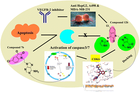 Graphical abstract: Hybrid nucleobase–heterocycle–2-oxindole scaffolds as innovative cell cycle modulators with potential anticancer activity