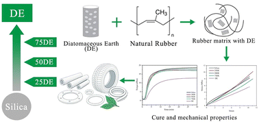 Graphical abstract: Morphological characterization and effect of diatomaceous earth on the cure characteristics and tensile properties of natural rubber vulcanizates