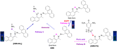 Graphical abstract: A dual-fluorescence approach for turn-on ammonia and turn-off explosive picric acid detection via ESIPT inhibition: experimental, theoretical, and biological studies