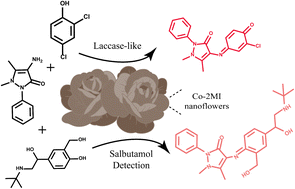 Graphical abstract: Spherical nanoflower-shaped Co-2MI with laccase-like activity for colorimetric detection of salbutamol