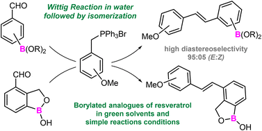 Graphical abstract: Synthesis of borylated-stilbenes under environmentally friendly Wittig reaction and interaction studies with HSA