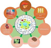 Graphical abstract: Scavenging of reactive oxygen and nitrogen species using nanoparticles and their applications in disease management