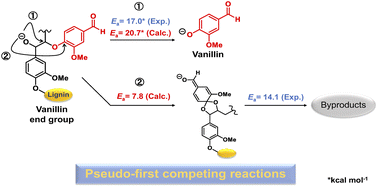 Graphical abstract: Elimination mechanism of vanillin from non-phenolic β-O-4-type terminals formed in guaiacyl lignin: a combined kinetic and theoretical study