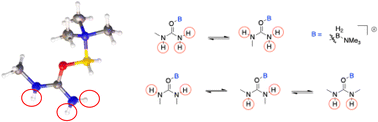 Graphical abstract: Ureas are identified as the first neutral O-donors broadly effective in stabilizing ionic liquids and other salts of boron-centred cations: synthesis and detailed characterization