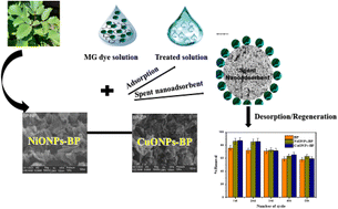 Graphical abstract: Remediation of malachite green-laden wastewater by plant-loaded metal oxide nanocomposites