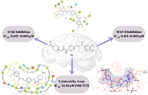 Graphical abstract: Structure-based design, synthesis, and biological activity evaluation of chalcone-piperazine derivatives as dual AChE and MAO B inhibitors
