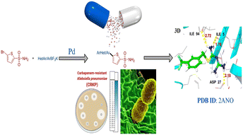 Graphical abstract: Synthesis of unprotected thienyl sulfonamides and their activities against carbapenem-resistant Klebsiella pneumoniae, docking studies and ADMET analysis