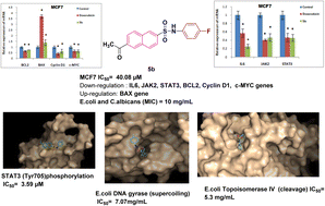 Graphical abstract: Design, synthesis and SAR of novel naphthalene–sulfonamide hybrids: anticancer assessment, gene expression analysis of IL6/JAK2/STAT3 signaling in MCF7 cells and antimicrobial evaluation