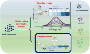 Graphical abstract: Os–Ru nanozyme with peroxidase-mimicking activity for rapid dual-readout colorimetric analysis of catechins in green tea beverages