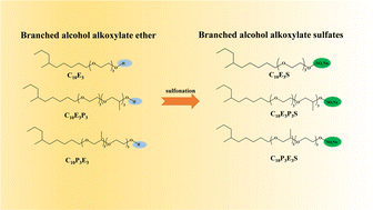 Graphical abstract: Synthesis and properties of branched alcohol alkoxylate sulfates
