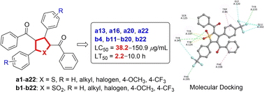 Graphical abstract: Design, synthesis and acaricidal activity of tetrahydrothiophene derivatives against Psoroptes cuniculi