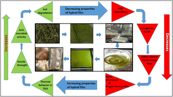 Graphical abstract: Enhancement of antimicrobial and structural properties of PVA packaging films using neem leaf powder: an example for extending the shelf life of cowpeas
