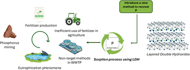 Graphical abstract: MgAl and ZnAl layered double hydroxides as efficient sorbents for phosphorus recovery from water