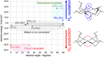 Graphical abstract: Conformational constraints in [Ni(PR2NR′2)2] complexes for tuning H2 production and oxidation: a DFT-based ligand design study