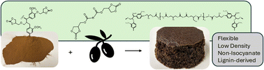 Graphical abstract: Structure–property relationships of flexible, non-isocyanate polyurethane foams from lignin and castor oil-based reagents