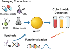 Graphical abstract: Golden eyes on pollutants: colorimetric detection of emerging contaminants with AuNPs