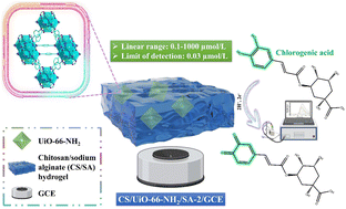 Graphical abstract: Implantation of nano-MOFs into chitosan/sodium alginate hydrogels: boosting the electroanalytical response of chlorogenic acid in food samples