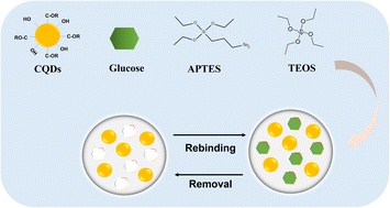 Graphical abstract: Fluorescence sensing of glucose at nanomolar levels using an imprinted copolymer embedded with carbon quantum dots