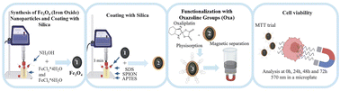 Graphical abstract: A nanocarrier delivery system of oxaliplatin for glioblastoma: synthesis and cytotoxicity of Fe3O4@SiO2/OXA nanocomposites