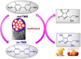Graphical abstract: Integration of gold nanoparticles into SnS for enhanced peroxidase-like activity and colorimetric detection of ascorbic acid in fruit juice