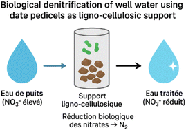 Graphical abstract: Effect of substrate pretreatment on in situ heterotrophic denitrification of nitrate-contaminated groundwater