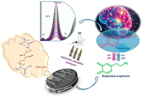 Graphical abstract: Inventive pectic acid grafted with polyacrylamide for a highly sensitive and selective non-enzymatic dopamine sensor in pharmaceutical samples