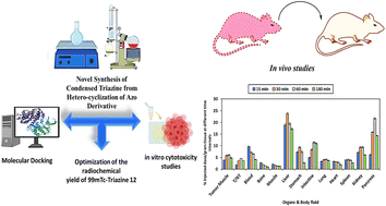 Graphical abstract: The novel synthesis of a condensed triazine via the heterocyclization of an azo derivative and its characterization, radiolabeling and bio-evaluation