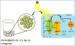 Graphical abstract: Polyaniline enhances the visible light photocatalytic activities of bismuth oxyhalides