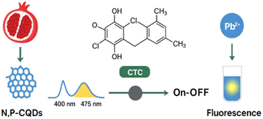 Graphical abstract: Fluorescence-based dual detection of chlortetracycline and Pb2+ using nitrogen/phosphorus co-doped carbon quantum dots