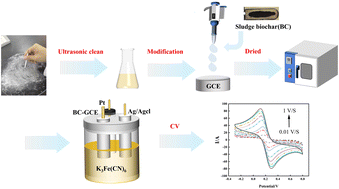 Graphical abstract: Sludge biochar-enabled trace voltammetric detection of 2,2′,4,4′-tetrabromodiphenyl ether in water samples