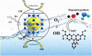 Graphical abstract: RSM-BBD optimization of room-temperature synthesized ZIF-8 for synergistic adsorption-photocatalysis of RhB