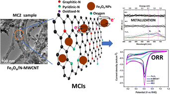 Graphical abstract: Synergistic metal–carbon interactions in Fe3O4/N-MWCNT composites for electro-Fenton processes