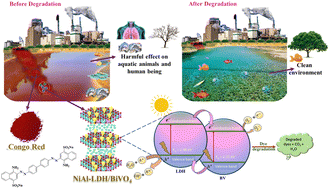 Graphical abstract: Flower-like NiAl-LDH/BiVO4 Z-scheme photocatalysts for sunlight-driven degradation of azo dye: performance and mechanistic insights