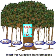 Graphical abstract: Green chemistry spotlight: metal-free organic transformations mediated by potassium persulfate