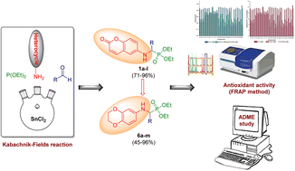 Graphical abstract: SnCl2-catalyzed Kabachnik–Fields synthesis of α-aminophosphonates with potent antioxidant activity