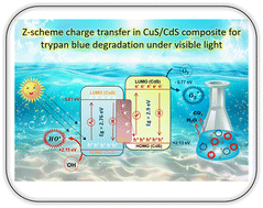 Graphical abstract: Towards advanced remediation: CuS/CdS Z-scheme heterojunction with accelerated charge-transfer for efficient photocatalytic degradation of trypan blue