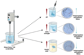 Graphical abstract: Release study of microplastic fibres and heavy metals from disposable surgical face masks in aqueous medium: the effect of physio-chemical factors and shear forces